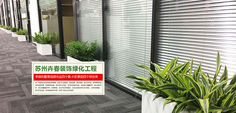 大圖三